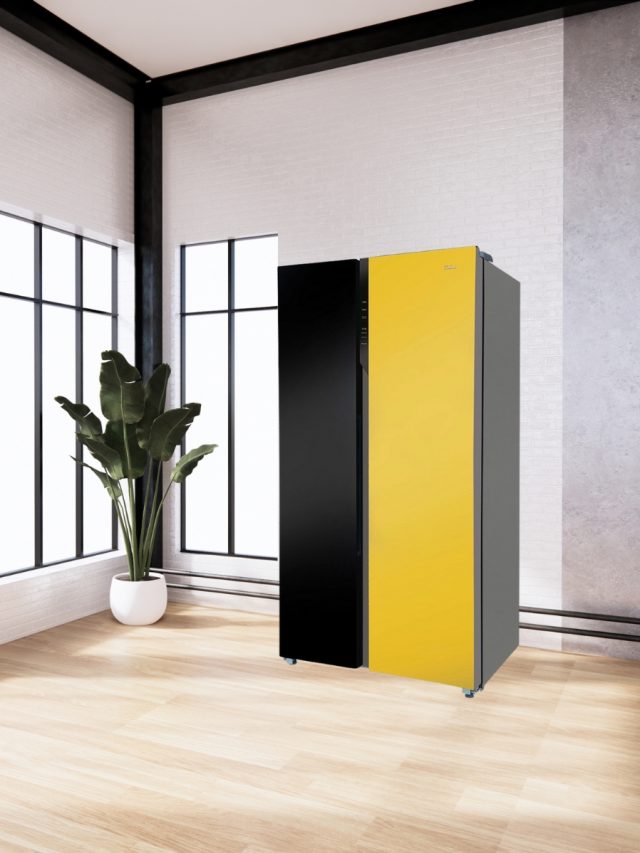 2 door side by side yellow and black finish Refrigerator