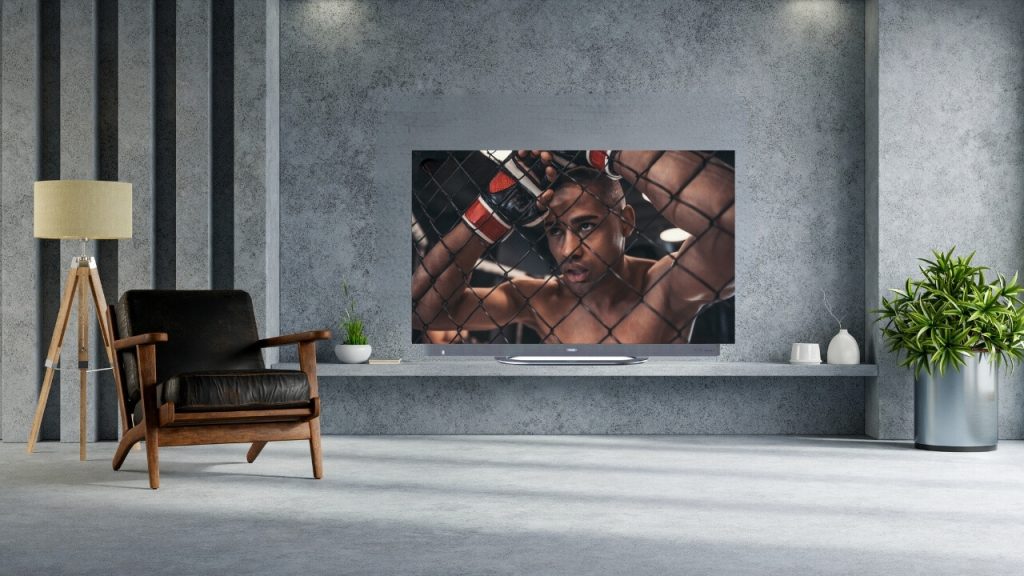 Boxer on TV