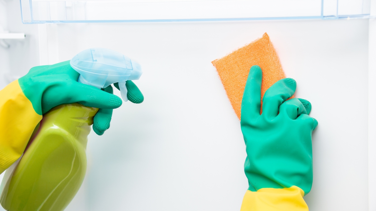 How to Keep Your Refrigerator Clean and Hygienic - Haier India Blog