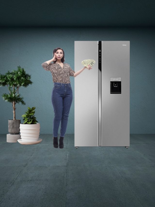 Save on Refrigerator energy costs