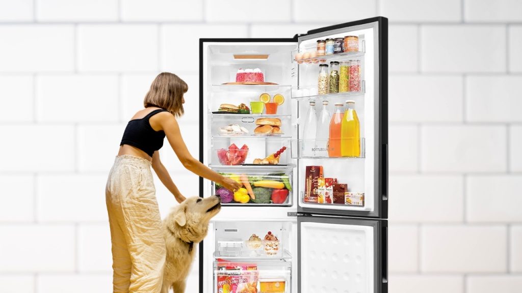 Frost-Free Refrigerators