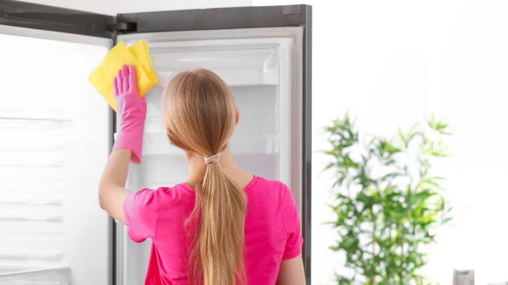 Refrigerator Maintenance