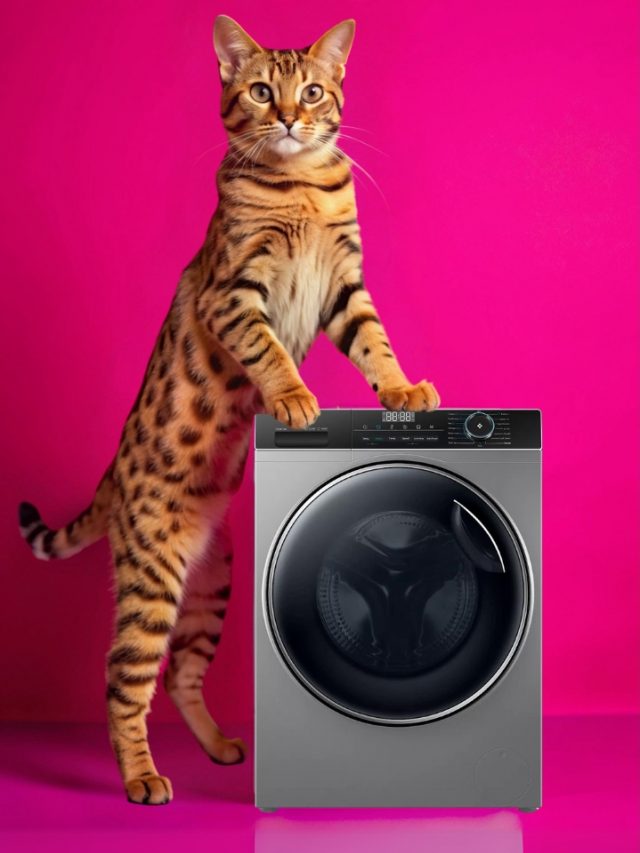 Washing Machine for pet owners