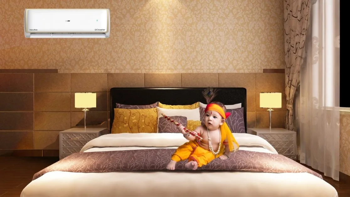 Home Appliances on Janmashtami 2024