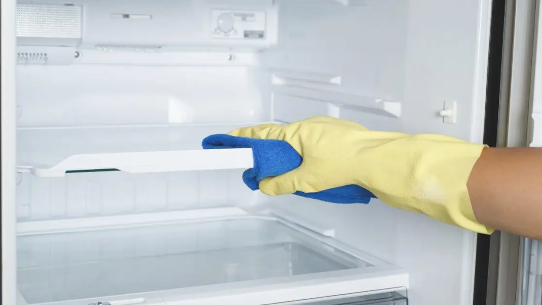 Maintaining Your New Refrigerator