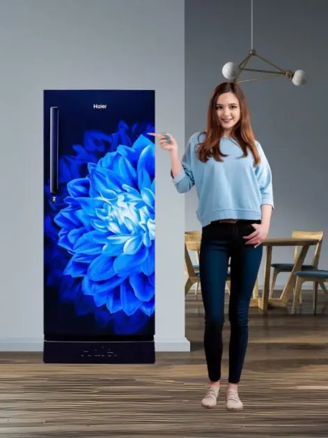 Stylish Refrigerators