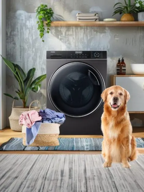 Pet Hair Removing from clothes in the washing machine