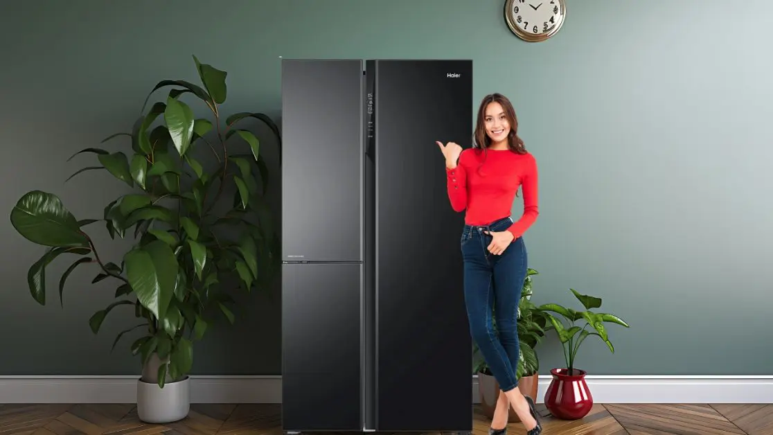 Side-by-Side (SBS) Refrigerator