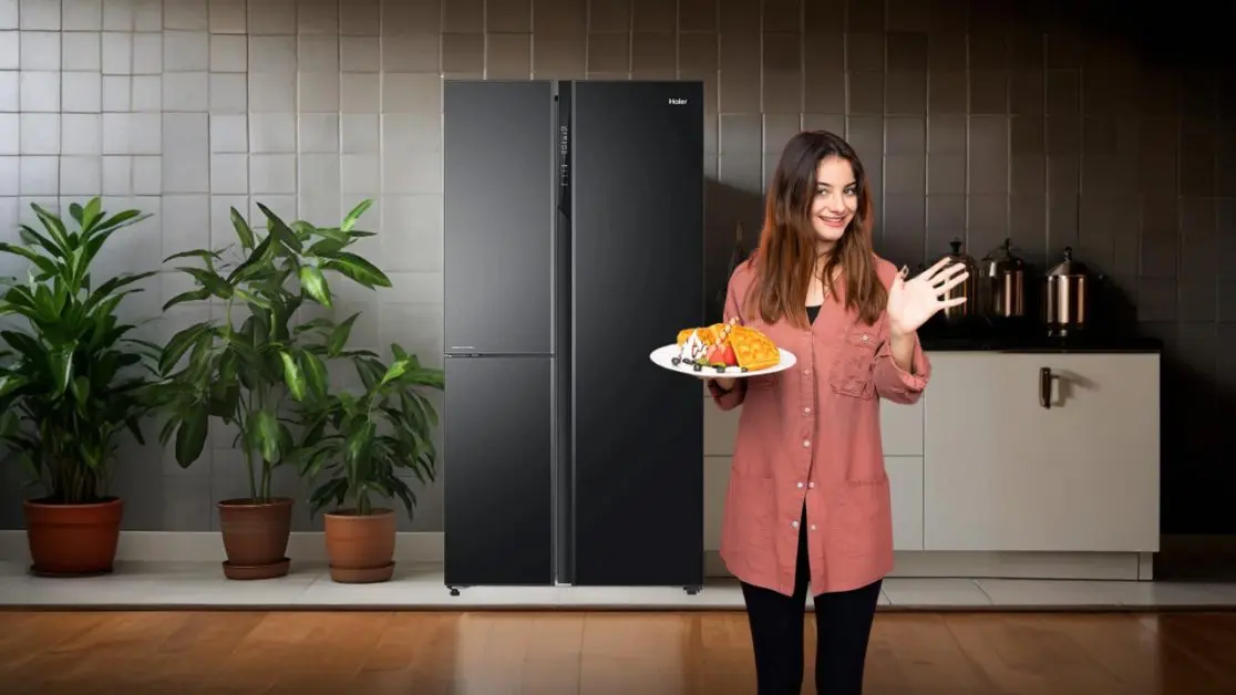 Features of Hybrid Refrigerators