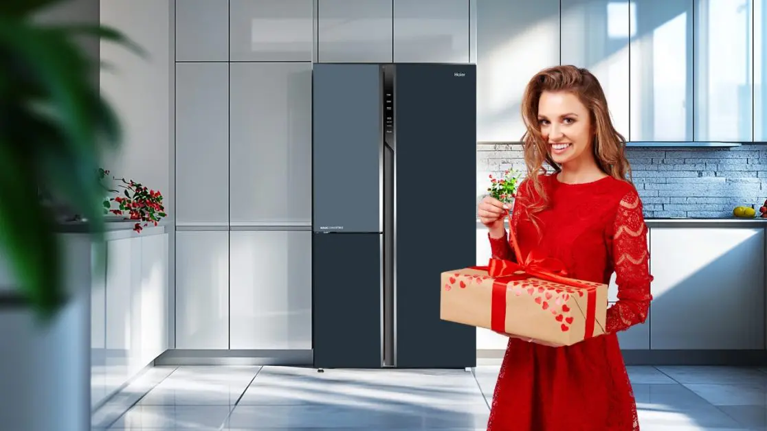 Gift High-End Refrigerator this new year