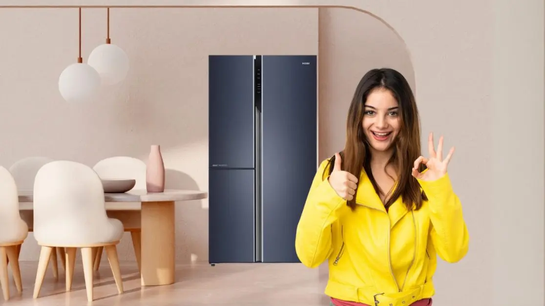 Gift Refrigerator with Advanced Technology this new year