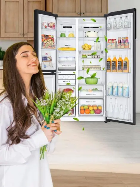 Deal with Refrigerator Odors and Smells