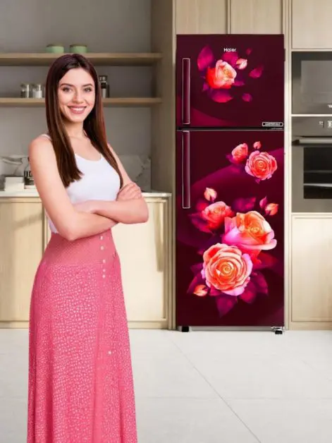 Get Energy Saving Refrigerators