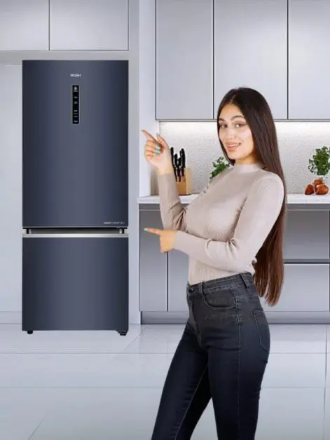 Top Rated Bottom Mounted Refrigerators