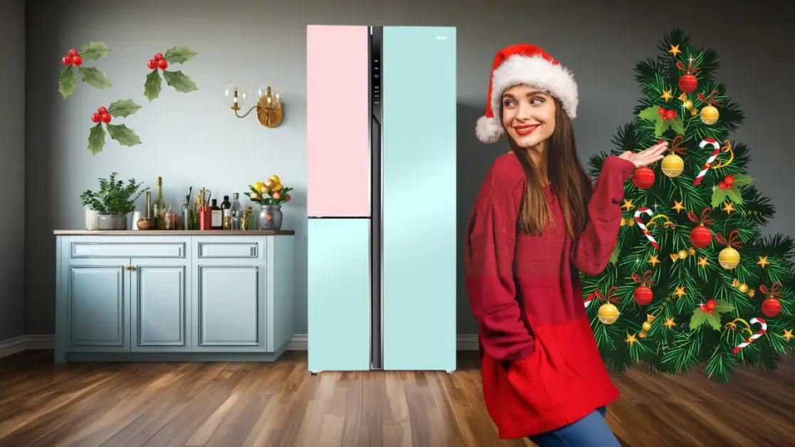 get Refrigerator For Energy Efficient Storage this christmas