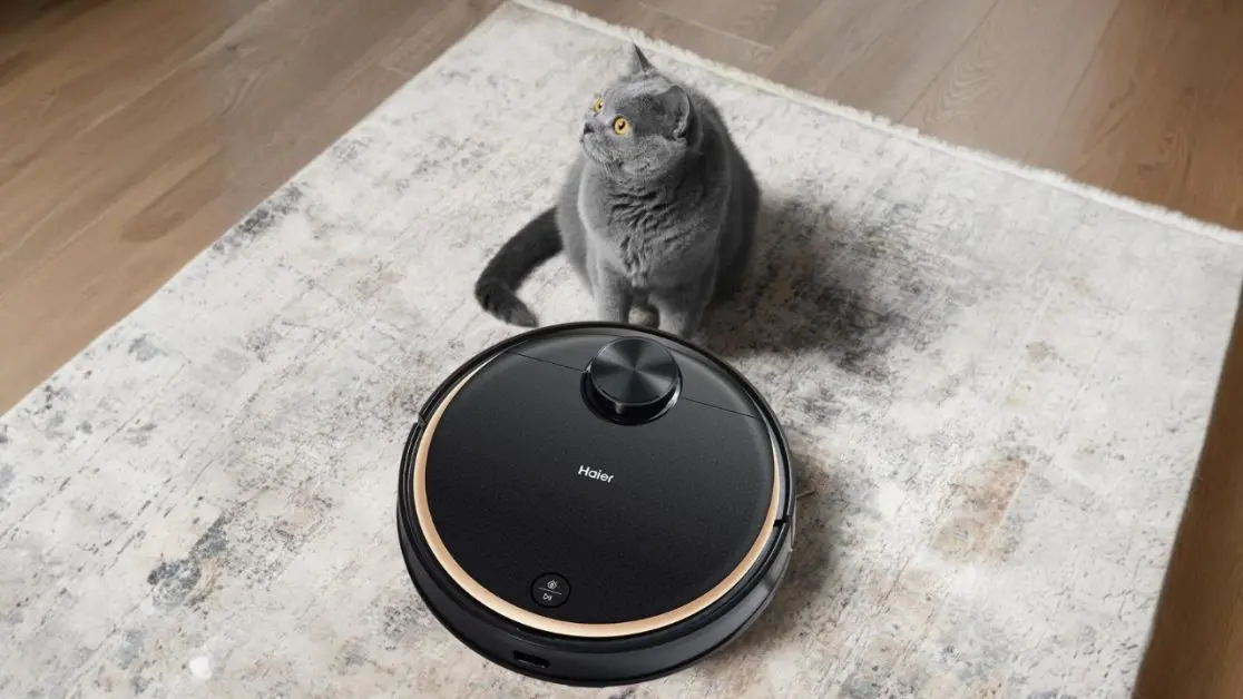 Robot Vacuum Cleaners