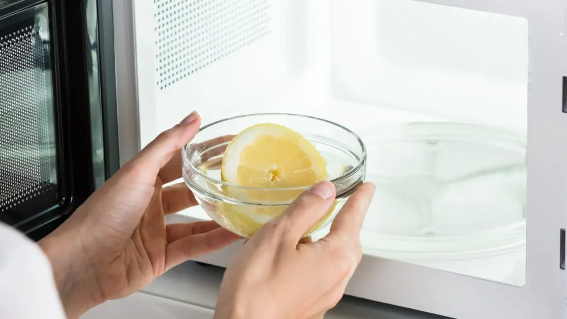 Use Natural Ingredients for Odor Cleaning from microwave