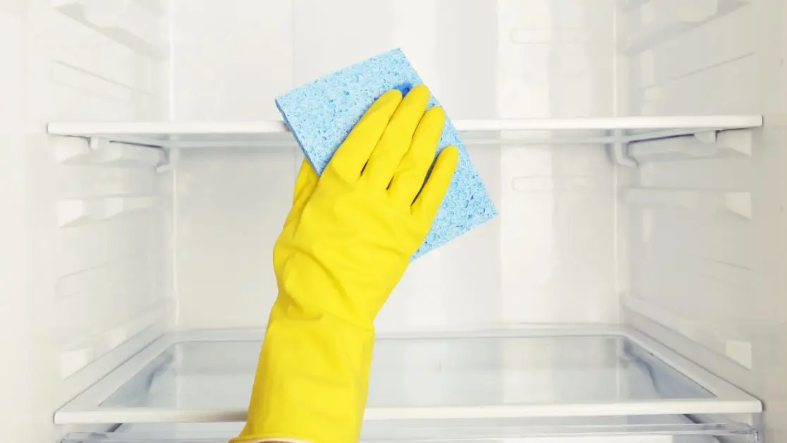 Clean refrigerator Interior Regularly