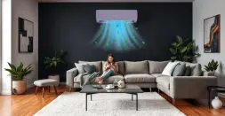 AC Usage in Large Indian Families