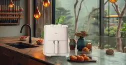 Get Perfect Air fryer this world environment day