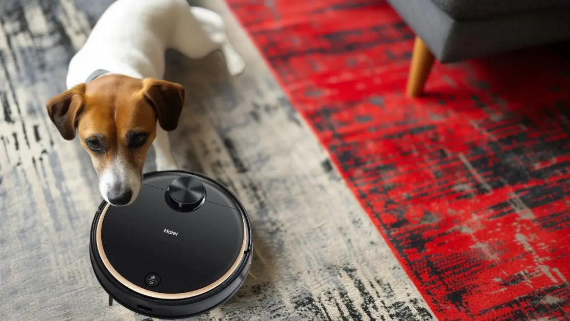 Get Pet Friendly robot vacuum cleaner