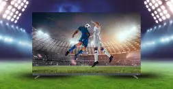 Best December Moments Seen Through QD Mini LED