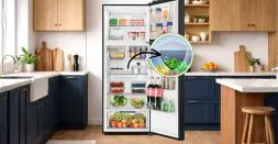 H-Deo Fresh Keeps Your Food Hygienic