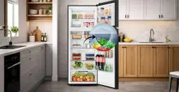 H-Deo Fresh helps in 99.99% Bacteria &amp; Virus Reduction