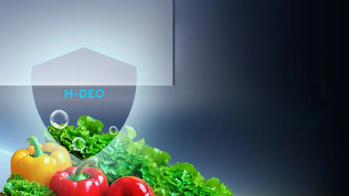 H-Deo Fresh inside the refrigerator