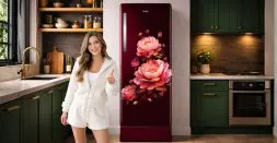 Keeps Food Fresh During Power Cuts