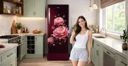 Modern Single-Door Refrigerators Do More Than Ever