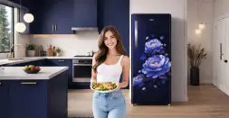 Refrigerators Designed for Indian Summers