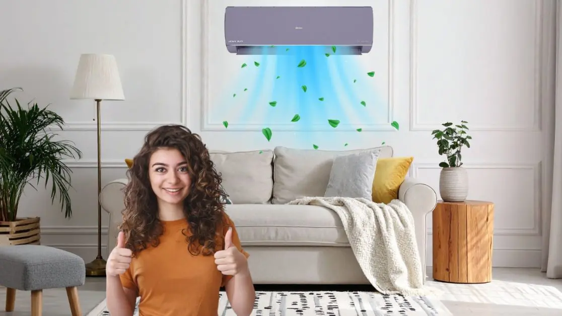 AC with Self clean feature for Healthier Indoor Air