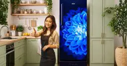 Efficient Single-Door Refrigerator