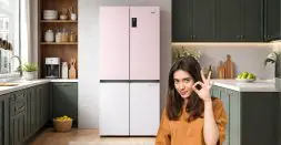 India’s Most Energy Efficient Refrigerator