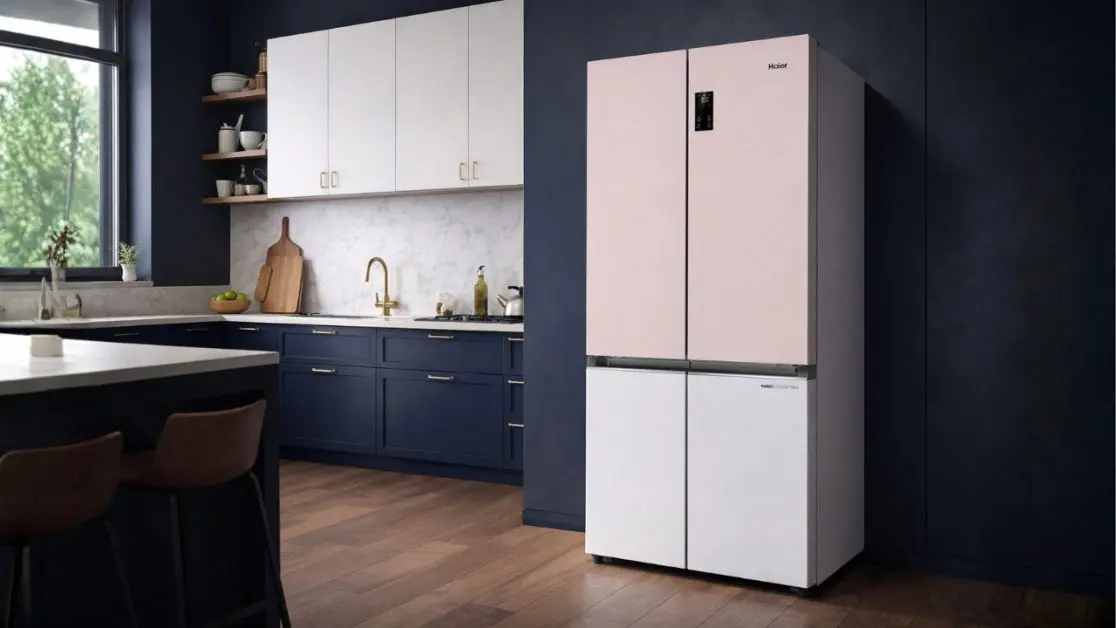 Refrigerator designed to be seen