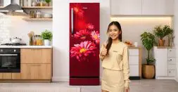Style Meets Efficiency in Single-Door Refrigerators