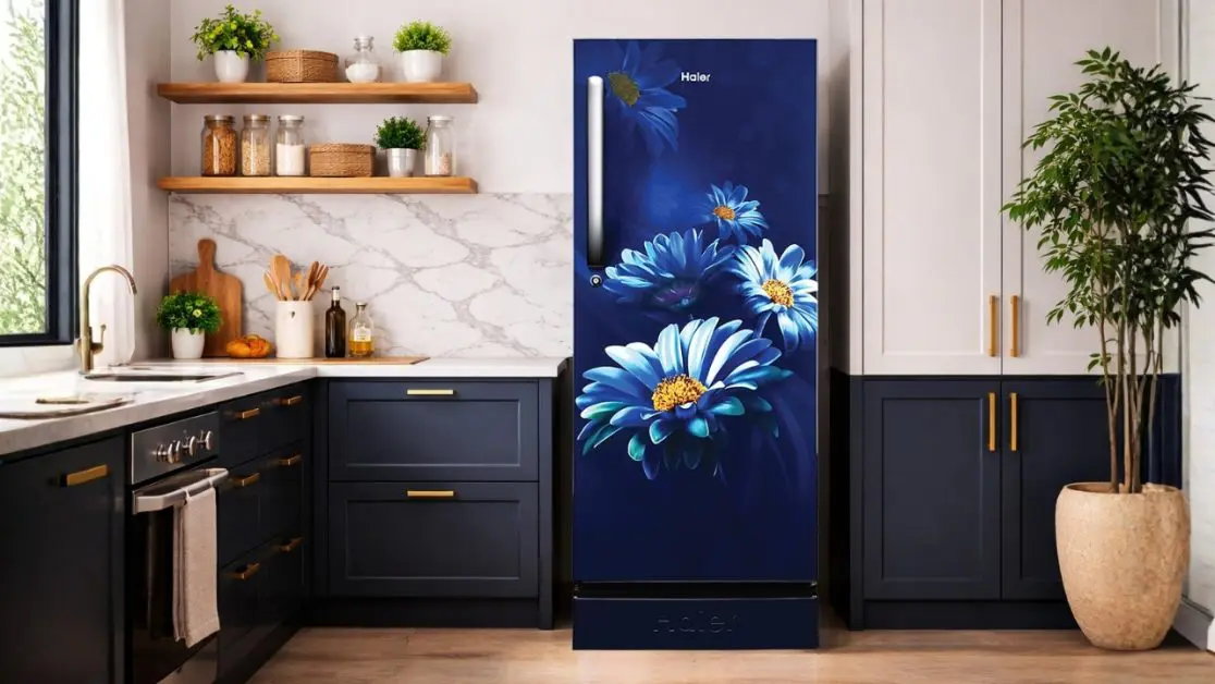 BEE Star Ratings in refrigerator Matter in Indian Homes