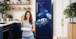 Refrigerator with Quick Ice-Making Improves Everyday Convenience