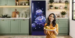 Get 190L Refrigerator home