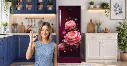 Get Inverter Refrigerator for Energy Savings