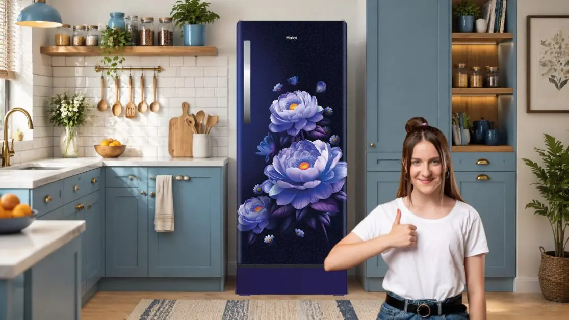 Inverter Refrigerator for your home