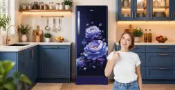 Inverter compressors in refrigerator save electricity