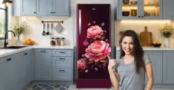 Perfect Refrigerator Buying Guide