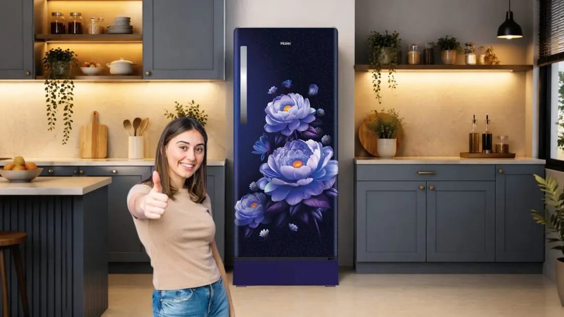 Refrigerators Are Ideal for Indian Households