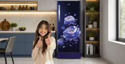 Get energy efficient refrigerator home