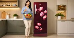 Best Budget Refrigerators Under Mid Range Segment